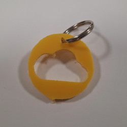 Could circle | Recycled keychain